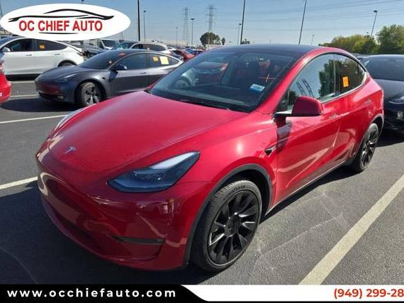 TESLA MODEL Y 2023 7SAYGDEE2PF604769 image